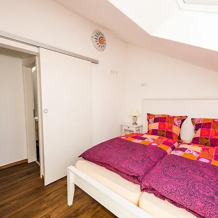 Schantz 罗斯多夫